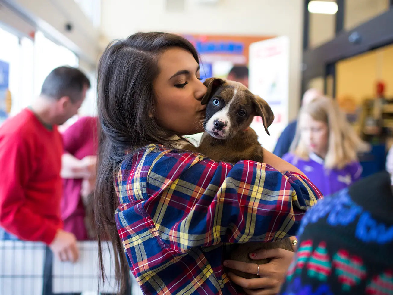 🐾 Thousands of Homeless Pets Need You