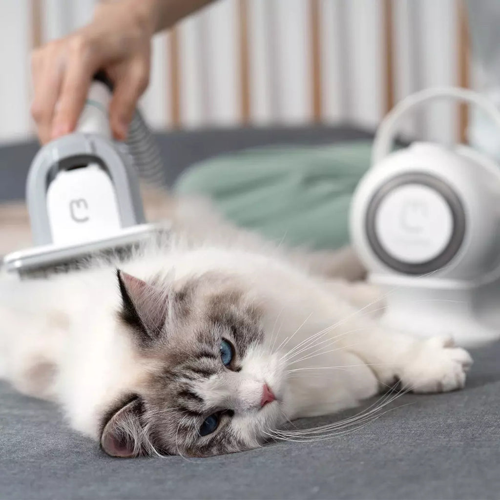 5-in-1 Cordless Pet Grooming Kit – Electric Hair Trimmer & Clipper for Dogs & Cats