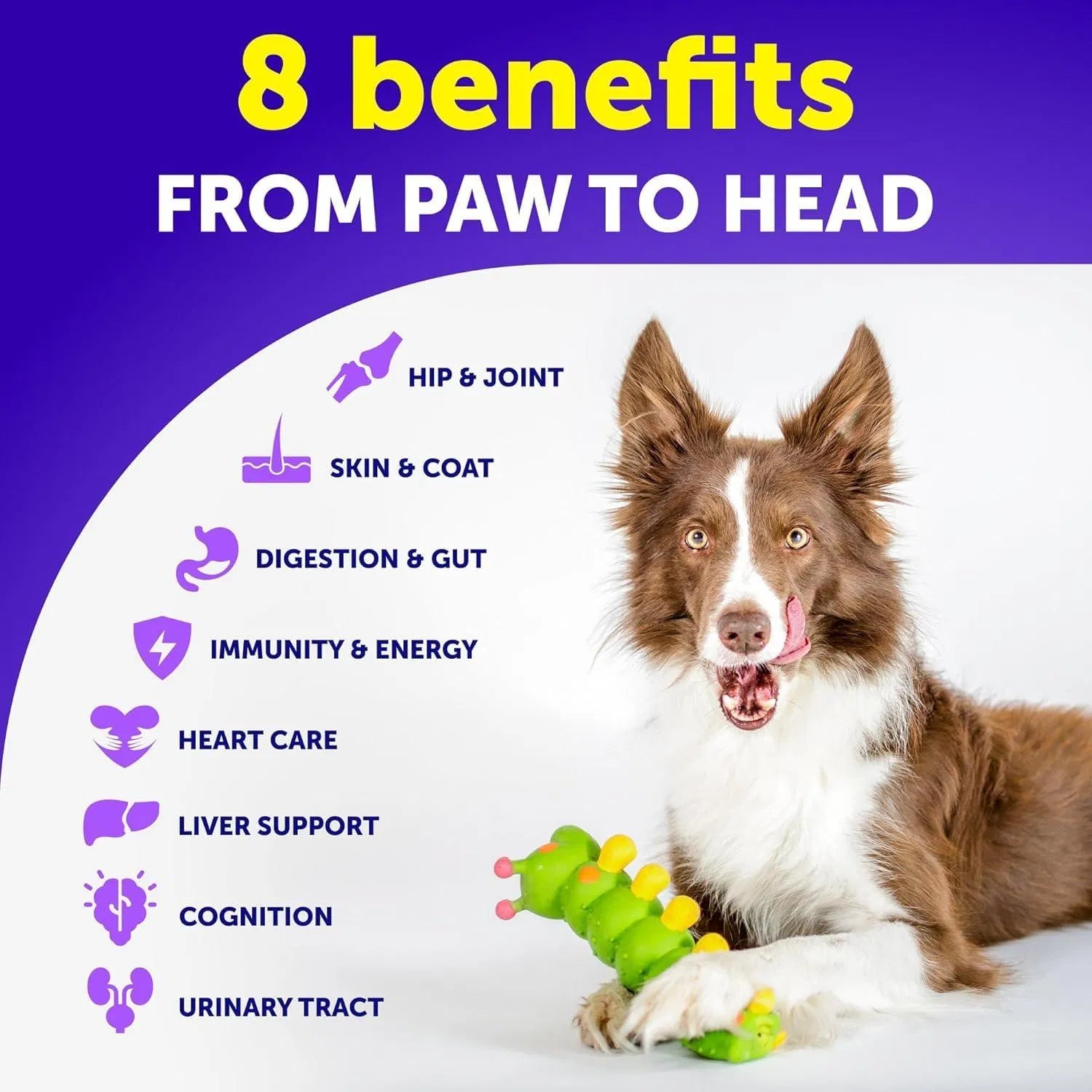 Dog Multivitamin Chewable With Glucosamine 20 In 1 Dog Vitamins And Supplements