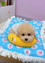 Soft Quilted Pet Pillow Bed for Small Dogs & Cats